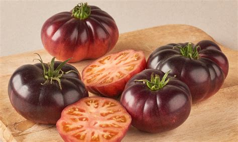 Tomates morados GM