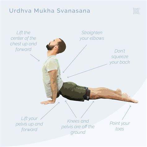 Urdhva Mukha Svanasana