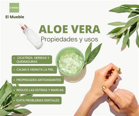 Usos del Aloe Vera