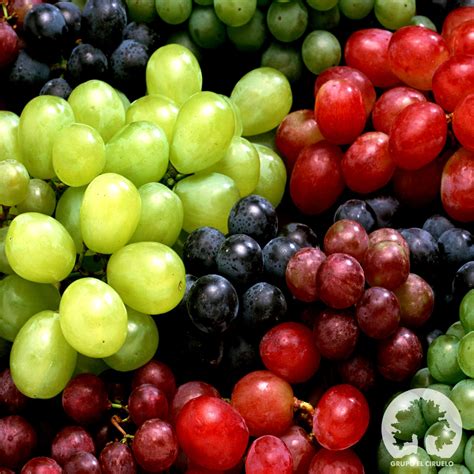 Uvas frescas
