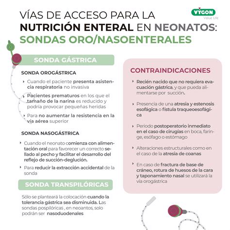 Vías de acceso para la nutrición enteral