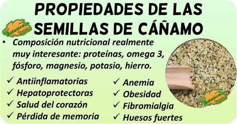 Valor nutricional de las semillas de cáñamo