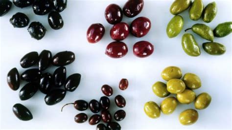 Variedad de aceitunas