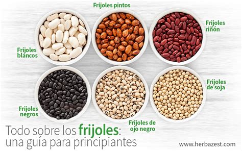 Variedad de frijoles