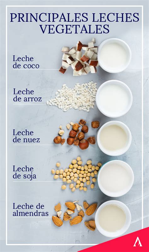 Variedad de leches vegetales