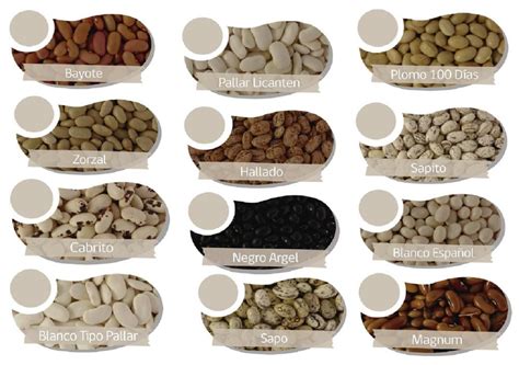 Variedad de porotos