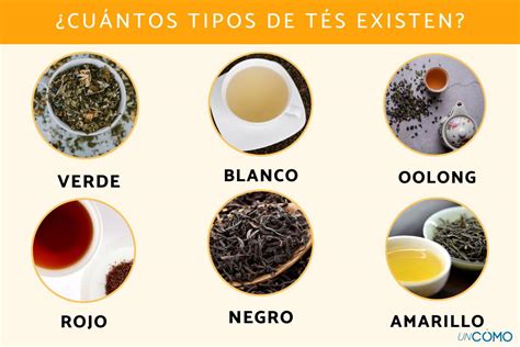 Variedad de tés para adelgazar