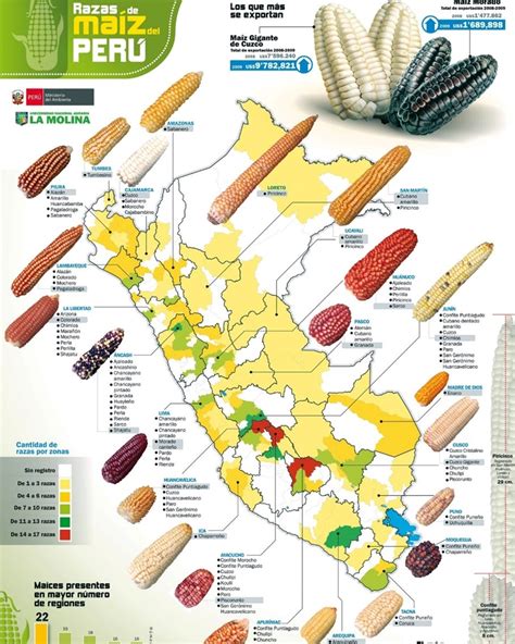 Variedades de Maíz en Perú