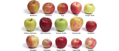 Variedades de Manzanas