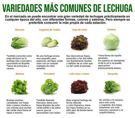 Variedades de lechuga