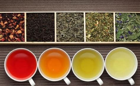 Variedades de té para adelgazar