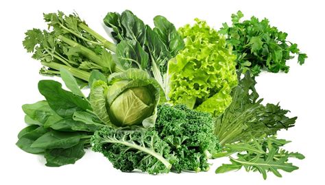 Verduras de hojas verdes