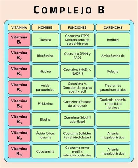Vitaminas B y sus funciones