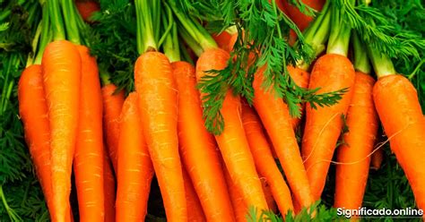 Zanahorias