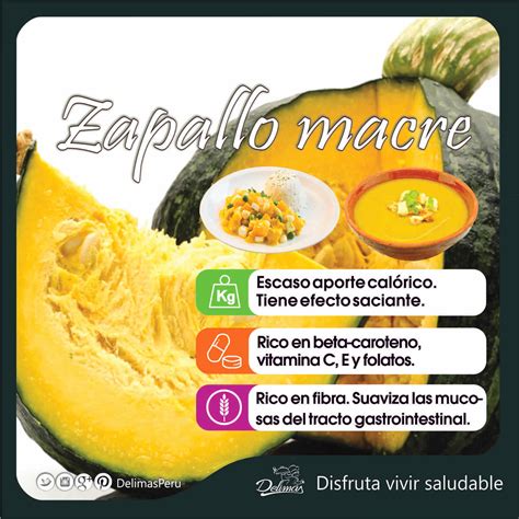Zapallo y sus propiedades