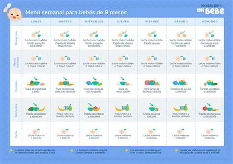 horarios de comida para bebes