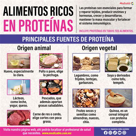 infografía sobre alimentos ricos en proteínas