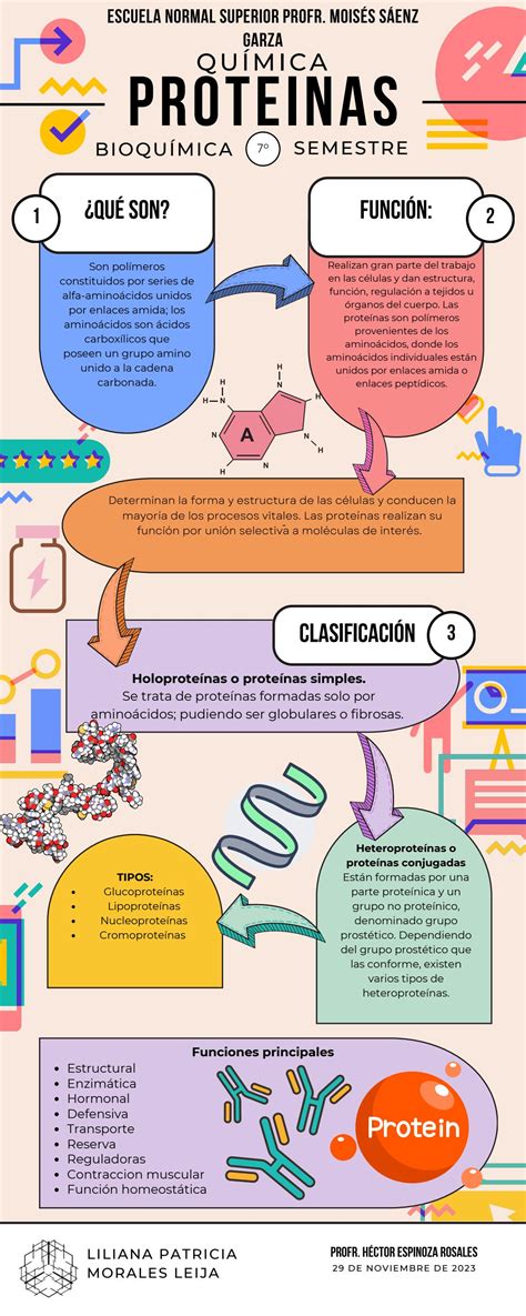 infografía sobre las proteínas