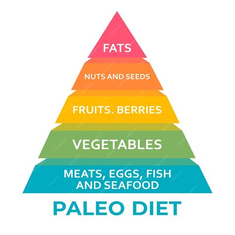 piramide alimenticia dieta paleo